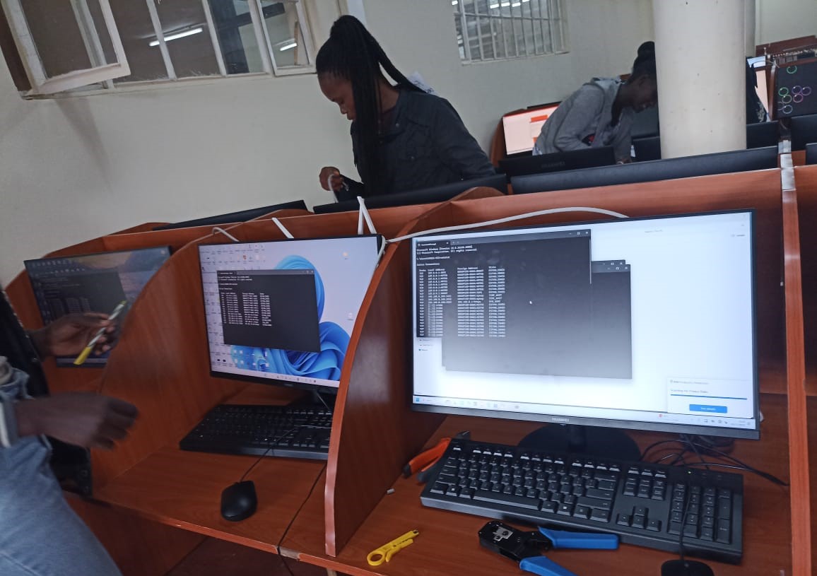 A network switch with multiple ethernet cables.